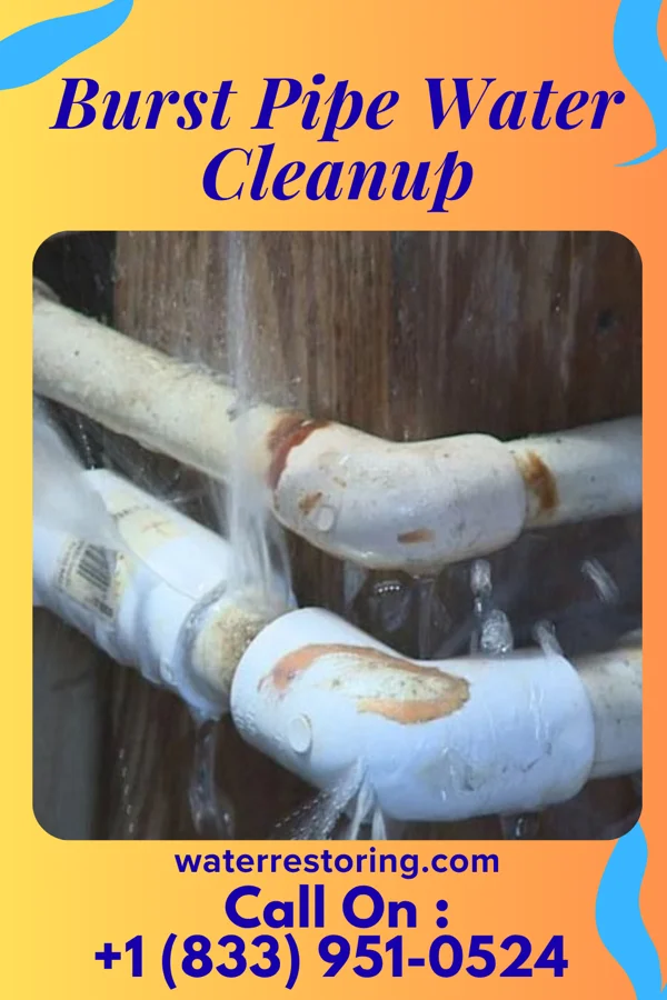 Burst Pipe Water Cleanup in Muir, MI