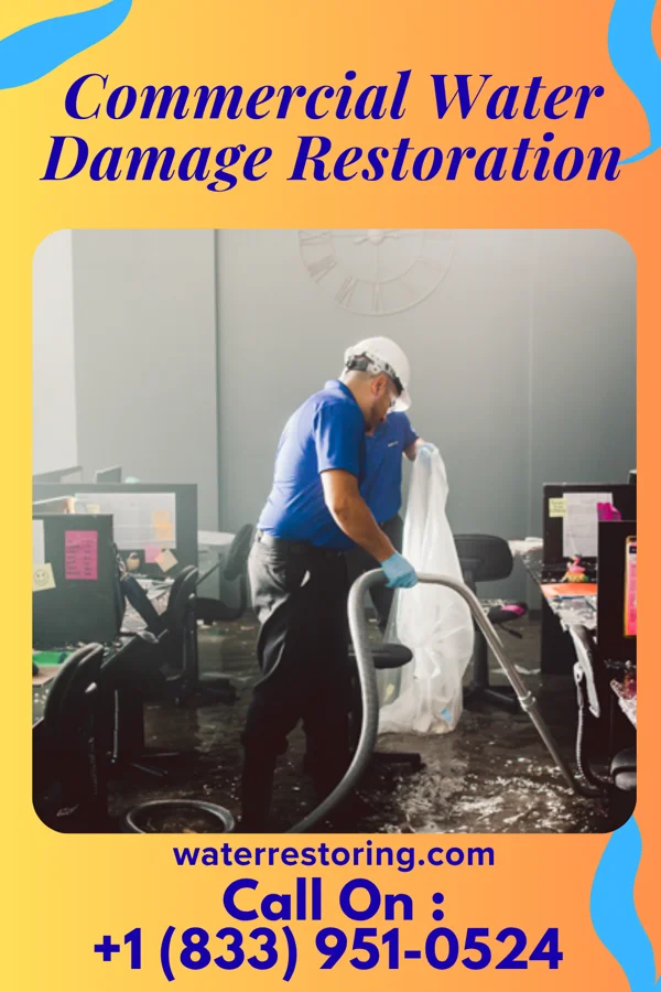 Commercial Water Damage Restoration in Muir, MI